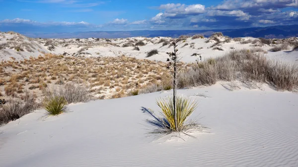 Білі піски, Нью-Мексико — стокове фото