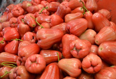 fotoğrafçılık pazarında balmumu Apple