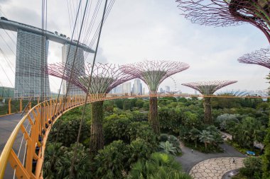 Singapur - Sep 9, 2021: OCBC Skyway Hava Yolu Körfez tarafındaki Gardens 'taki Supertree Grove yapay ağaç binaları arasında yürüme