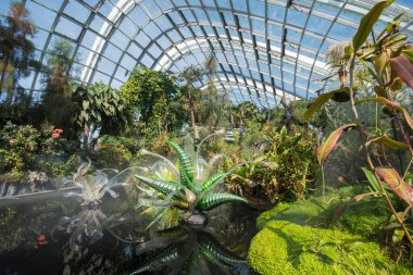 Singapur - Sep 9, 2021: Koyun yanındaki Gardens 'taki Bulut Ormanı Kubbesi' nde dekorasyon