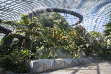 Singapur - Sep 9, 2021 Singapur Körfezi yakınlarındaki Bahçelerde Bulut Ormanı Konservatuarı serin ve nemli yeşil dağ.