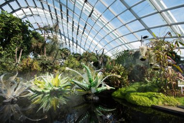 Singapur - Sep 9, 2021: Koyun yanındaki Gardens 'taki Bulut Ormanı Kubbesi' nde dekorasyon