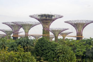 Singapur - Sep 9, 2021 Marina Bay Sands Oteli yakınlarındaki Singapur Körfezi yakınlarındaki Gardens 'taki Supertree Grove