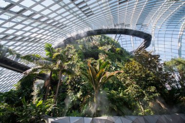 Singapur, Sep 9, 2021, Körfez kenarındaki Bahçelerdeki Bulut Ormanı. Çiçek Kubbesi ve Bulut Ormanı soğutmalı konservatuarları iki turist için ziyaret edilmelidir..