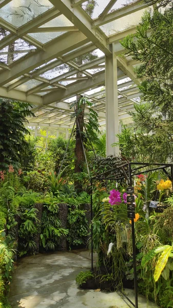 Singapore Oct 2021 Sembcorp Cool House National Orchid Garden Botanic — Stock Photo, Image