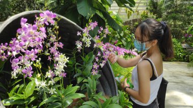 Singapur - 16 Ekim 2021, Singapur 'daki Ulusal Orkide Bahçesi' nde Tan Hoon Siang Sis Evi. Adını başarılı bir iş adamı ve hayırsever olan Tan Hoon Siang 'dan almıştır.