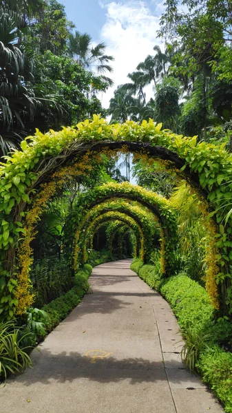 Cingapura Out 2021 Arcos Flores Jardim Nacional Das Orquídeas Cingapura — Fotografia de Stock