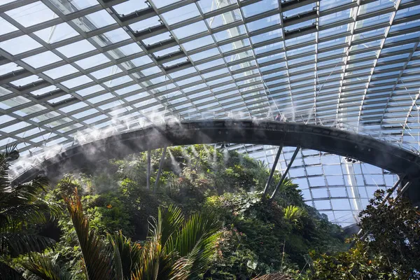 シンガポール 2021年9月9日 湾の庭の雲の森 フラワードームと雲の森冷却された温室は2つです観光客のための場所を訪問する必要があります — ストック写真