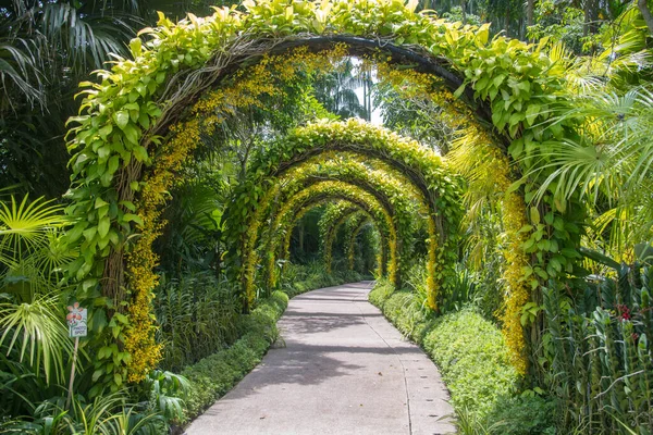 Singapur Oct 2021 Arcos Flores Jardín Nacional Orquídeas Los Jardines —  Fotos de Stock
