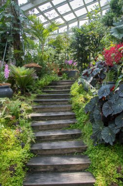 Singapur 'daki Ulusal Orkide Bahçesi' nde Tan Hoon Siang Sis Evi 'nin içi. Adını başarılı bir iş adamı ve hayırsever olan Tan Hoon Siang 'dan almıştır.
