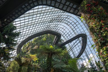 Singapur - Sep 9, 2021 Singapur Körfezi yakınlarındaki Bahçelerde Bulut Ormanı Konservatuarı serin ve nemli yeşil dağ.