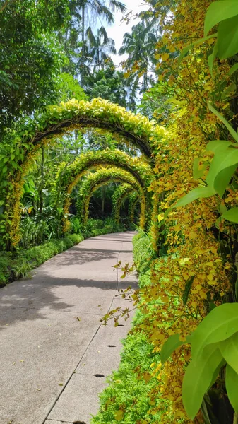 Сингапур Октября 2021 Года Цветочные Арки Национальном Саду Орхидей Ботаническом — стоковое фото