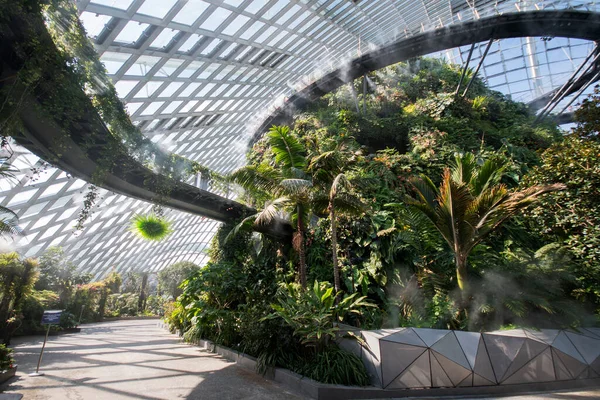 Cingapura Setembro 2021 Cloud Forest Gardens Bay Flower Dome Floresta — Fotografia de Stock