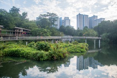Singapur - 23 Ekim 2021: Pang Sua Pond Pankit Panjang, Singapur 'daki Pang Sua Tahta Yolu