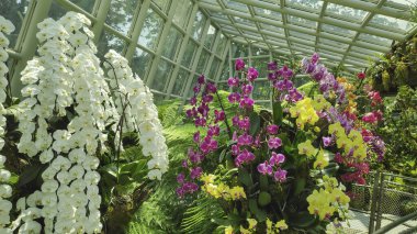 Singapur - 16 Ekim 2021: Botanik Bahçesi Ulusal Orkide Bahçesi 'ndeki Sembcorp Cool House. Serin havası, sürüklenen sisi ve şelalesi ile ziyaretçileri çekiyor..