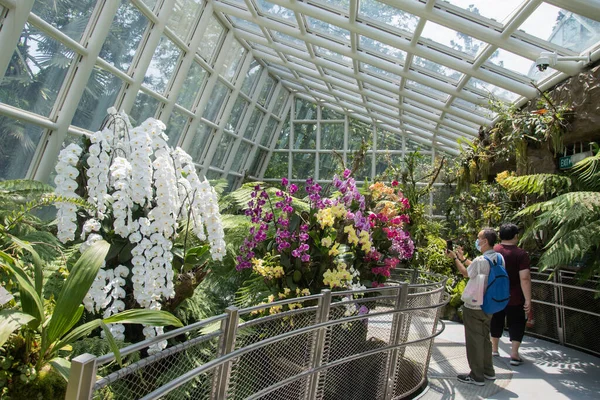 Singapore Oct 2021 Sembcorp Cool House National Orchid Garden Botanic — Stock Photo, Image
