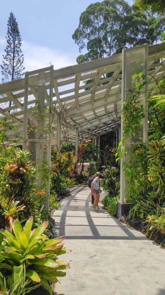 Cingapura Out 2021 Turistas Apreciam Beleza Jardim Nacional Das Orquídeas — Fotografia de Stock