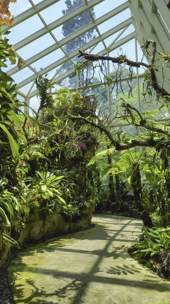 Singapour Oct 2021 Sembcorp Cool House National Orchid Garden Botanic — Photo