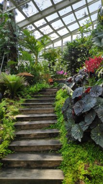 Singapur - 16 Ekim 2021, Singapur 'daki Ulusal Orkide Bahçesi' nde Tan Hoon Siang Sis Evi. Adını başarılı bir iş adamı ve hayırsever olan Tan Hoon Siang 'dan almıştır.