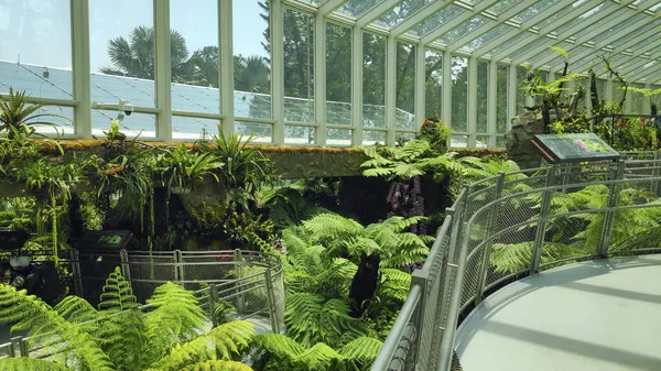 Singapore Oct 2021 Sembcorp Cool House National Orchid Garden Botanic — 스톡 사진