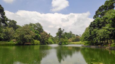 Singapur - 16 Ekim 2021: Singapur Botanik Bahçesindeki Kuğu Gölü 'nde Uçuş Kuğusu heykeli