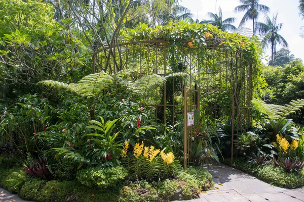 Cingapura Out 2021 Vista Beleza Jardim Nacional Das Orquídeas Dentro — Fotografia de Stock