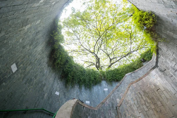 Singapur November 2021 Schöner Natürlicher Riesenbaum Und Unterirdische Wendeltreppe Fort — Stockfoto