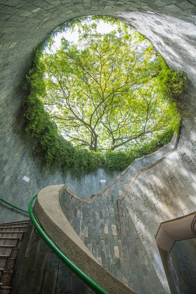Singapur November 2021 Schöner Natürlicher Riesenbaum Und Unterirdische Wendeltreppe Fort — Stockfoto