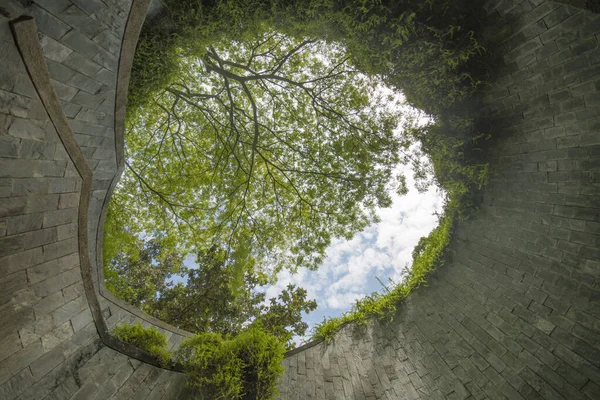 Singapore Nov 2021 Bellissimo Albero Gigante Naturale Scala Chiocciola Sotterranea — Foto Stock