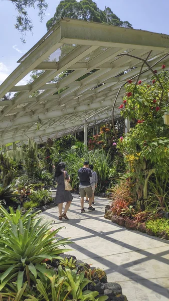 Singapur Říj 2021 Turisté Užívají Krásy Národní Orchidej Zahrady Singapuru — Stock fotografie