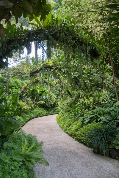 Vista Belleza Del Jardín Nacional Orquídeas Dentro Del Jardín Botánico —  Fotos de Stock