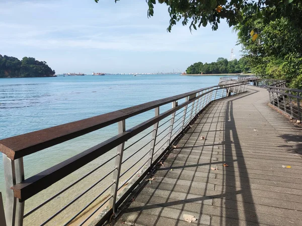 싱가포르 Dec 2021 View Bukit Chermin Boardwalk Singapore 민의해 기슭을 — 스톡 사진