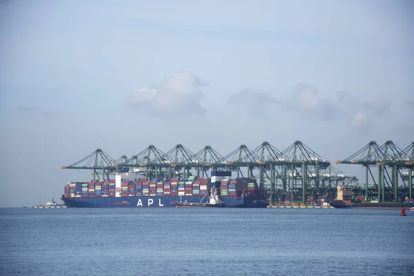 Singapore Dec 2021 Cargo Ship Docked Harbor Load Unload Cargo — Stockfoto