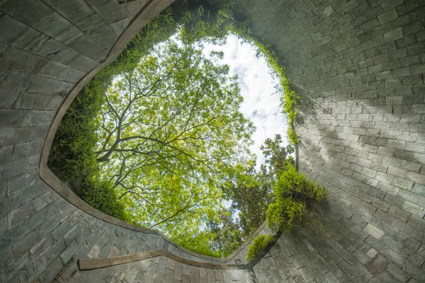 Singapur Listopad 2021 Krásné Přírodní Obří Strom Podzemní Točité Schodiště — Stock fotografie