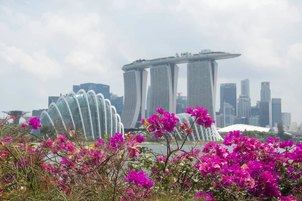 Singapour Mars 2020 Singapore Skyline Marina Bay Sand Gardens Bay — Photo