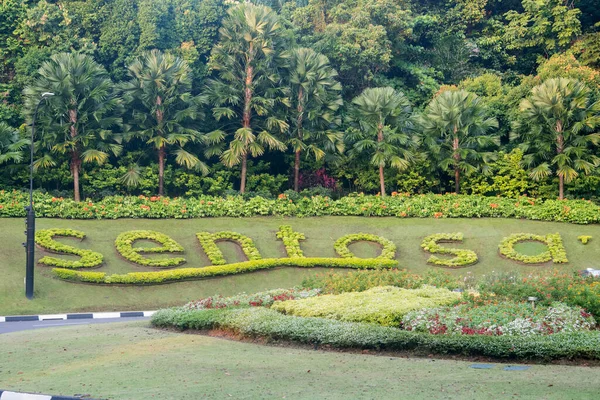 Singapur Kwi 2022 Słowo Sentosa Utworzone Przez Zielone Rośliny Wyspie — Zdjęcie stockowe