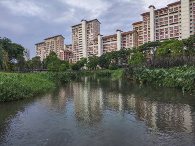 Singapur - 9 Nisan 2022: Singapur 'daki Bishan-Ang Mo Kio Parkı' ndan manzara. Singapur 'un merkezindeki en büyük şehir parklarından biridir.
