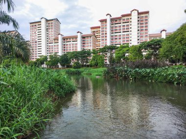 Singapur - 9 Nisan 2022: Singapur 'daki Bishan-Ang Mo Kio Parkı' ndan manzara. Singapur 'un merkezindeki en büyük şehir parklarından biridir.