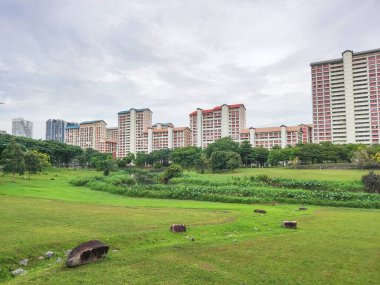 Singapur - 9 Nisan 2022: Singapur 'daki Bishan-Ang Mo Kio Parkı' ndan manzara. Singapur 'un merkezindeki en büyük şehir parklarından biridir.