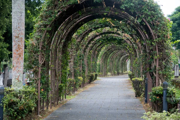 Singapura Abr 2022 Vista Del Cementerio Japonés Singapur Cementerio Japonés —  Fotos de Stock