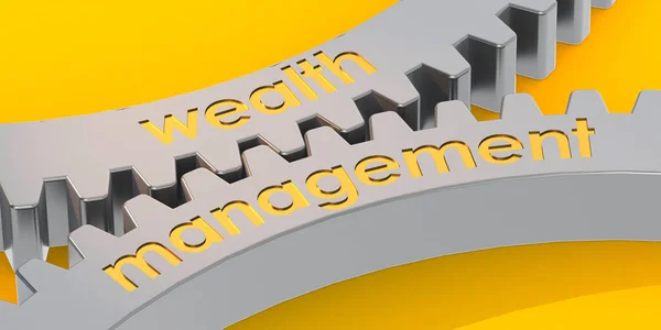 Wealth Management Word Gears Rendering — Stock fotografie