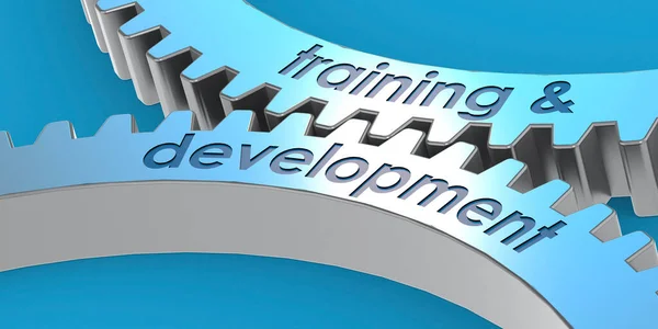 Training Development Word Gears Rendering — Zdjęcie stockowe