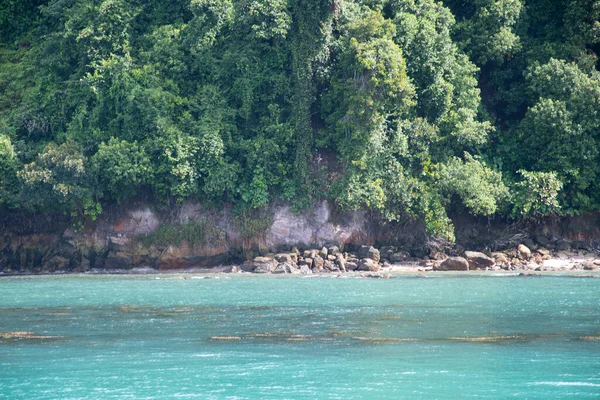 Costa Rochosa Natural Com Árvores Verdes Floresta Sobre Mar Azul — Fotografia de Stock