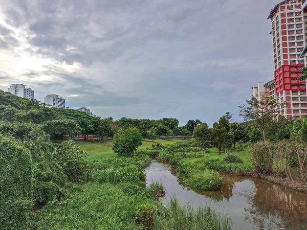 Singapur - 9 Nisan 2022: Singapur 'daki Bishan-Ang Mo Kio Parkı' ndan manzara. Singapur 'un merkezindeki en büyük şehir parklarından biridir.