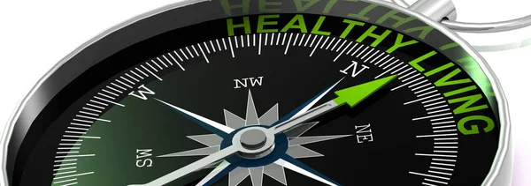 Compass Needle Pointing Word Healthy Living Rendering — Stockfoto