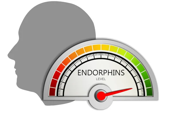 Endorphins Level Measuring Device Arrow Scale Rendering — Foto de Stock