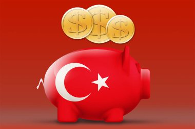 Hindi bayraklı domuz kumbarası ve üç boyutlu altın sikke.