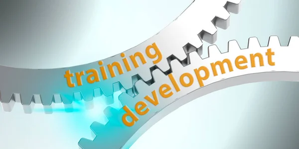 Training and development word on gears, 3d rendering