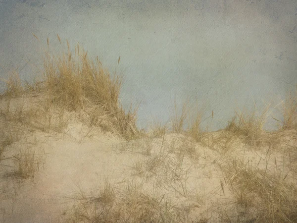 Sand Dune