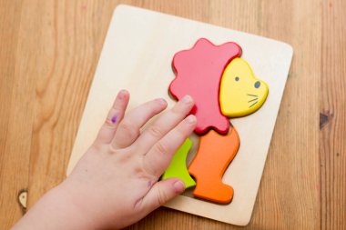 Jigsaw Bebek Erken Eğitim Oyuncakları 3 boyutlu Yapboz Çocuklar Yetenek Egzersizi Çocuklar Tahta Hediyeler. Erkek eli yapboz parçasında. Erken eğitim, odaklanma egzersizleri